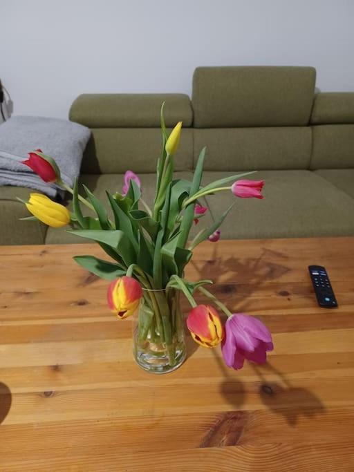 Appartement Sehr Zentral Gelegen à Vienne Extérieur photo