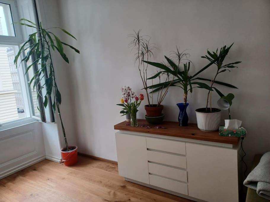 Appartement Sehr Zentral Gelegen à Vienne Extérieur photo